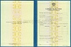 Стоимость Свидетельства о Повышении Квалификации 1997-2018 г. в Советске (Кировская Область)